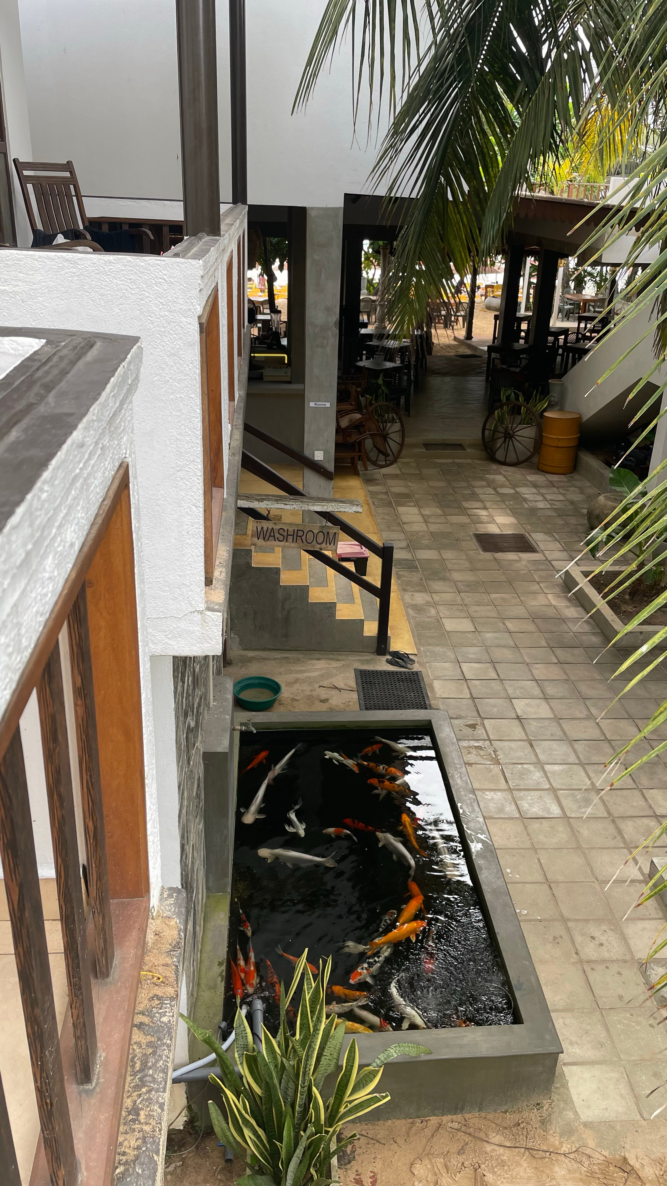 Фото Central Beach Inn