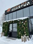 Sokhatyi (posyolok gorodskogo tipa Sheregesh, Vesennyaya ulitsa, 20А), bar, pub