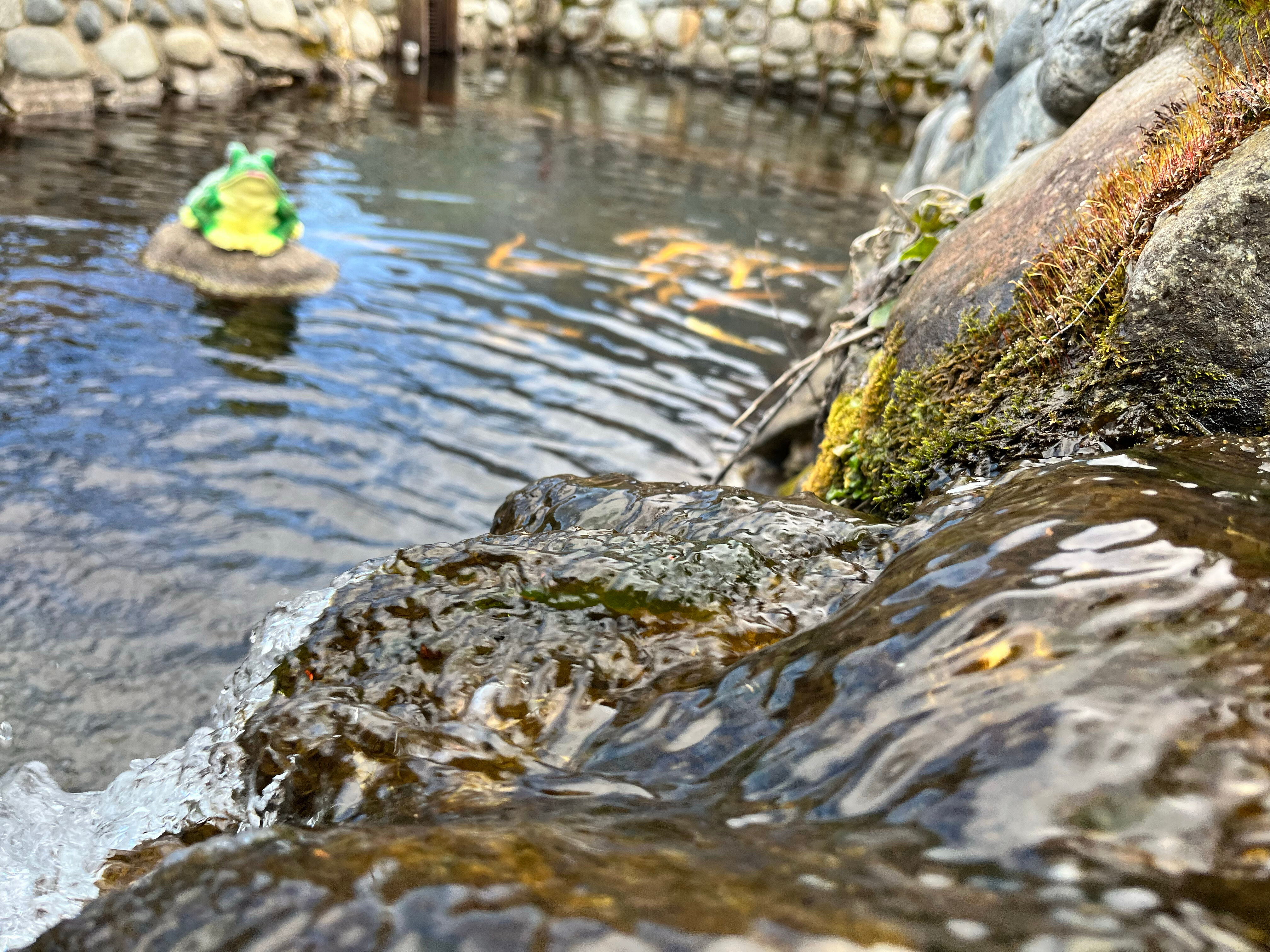 Фото Гостевой дом Ирбис
