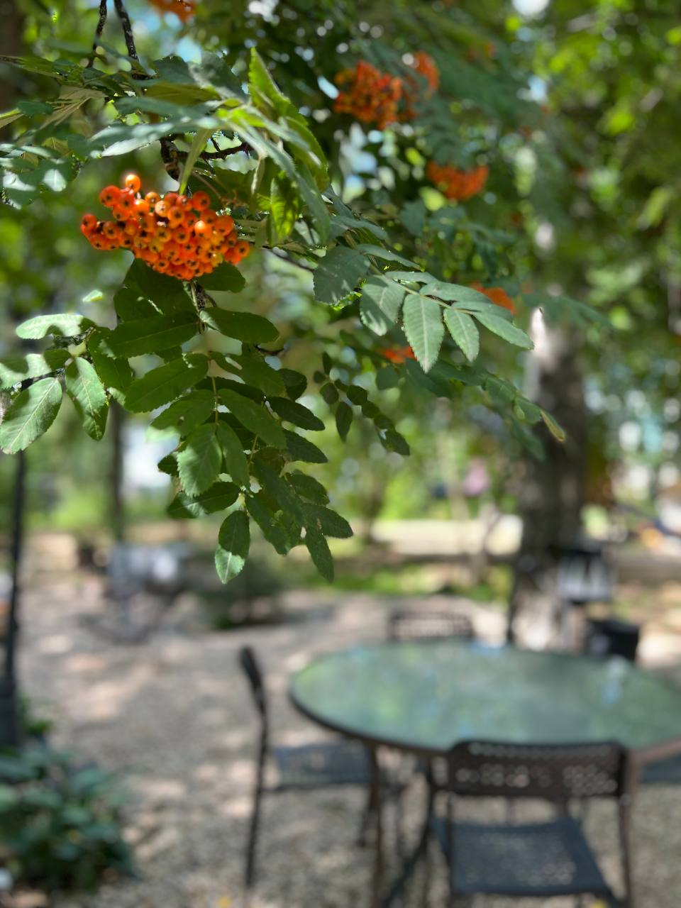 Фото Вечера в Подмосковье