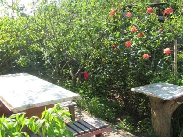 Фото Садочек