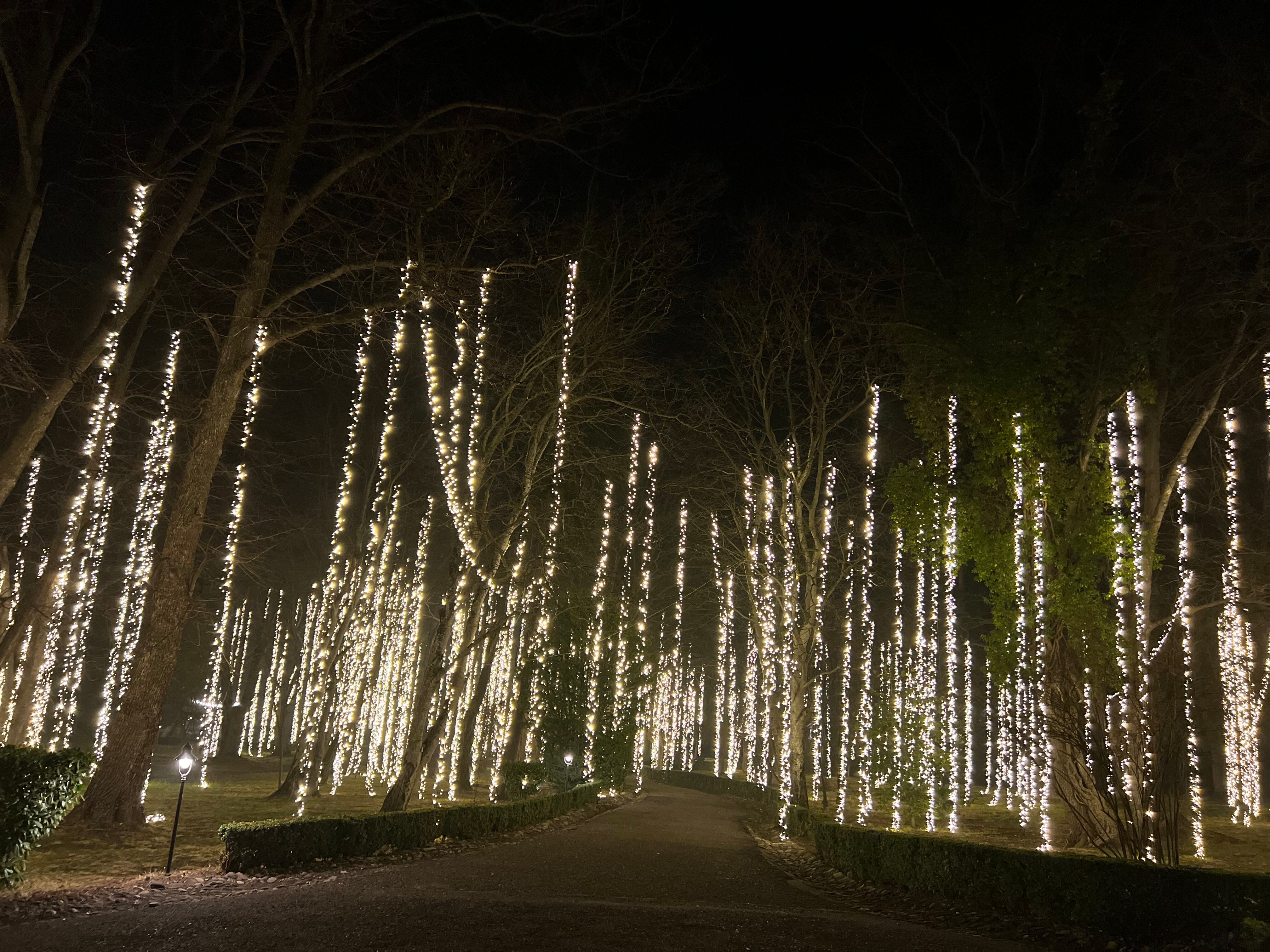 Фото Tsinandali Estate, A Radisson Collection Hotel