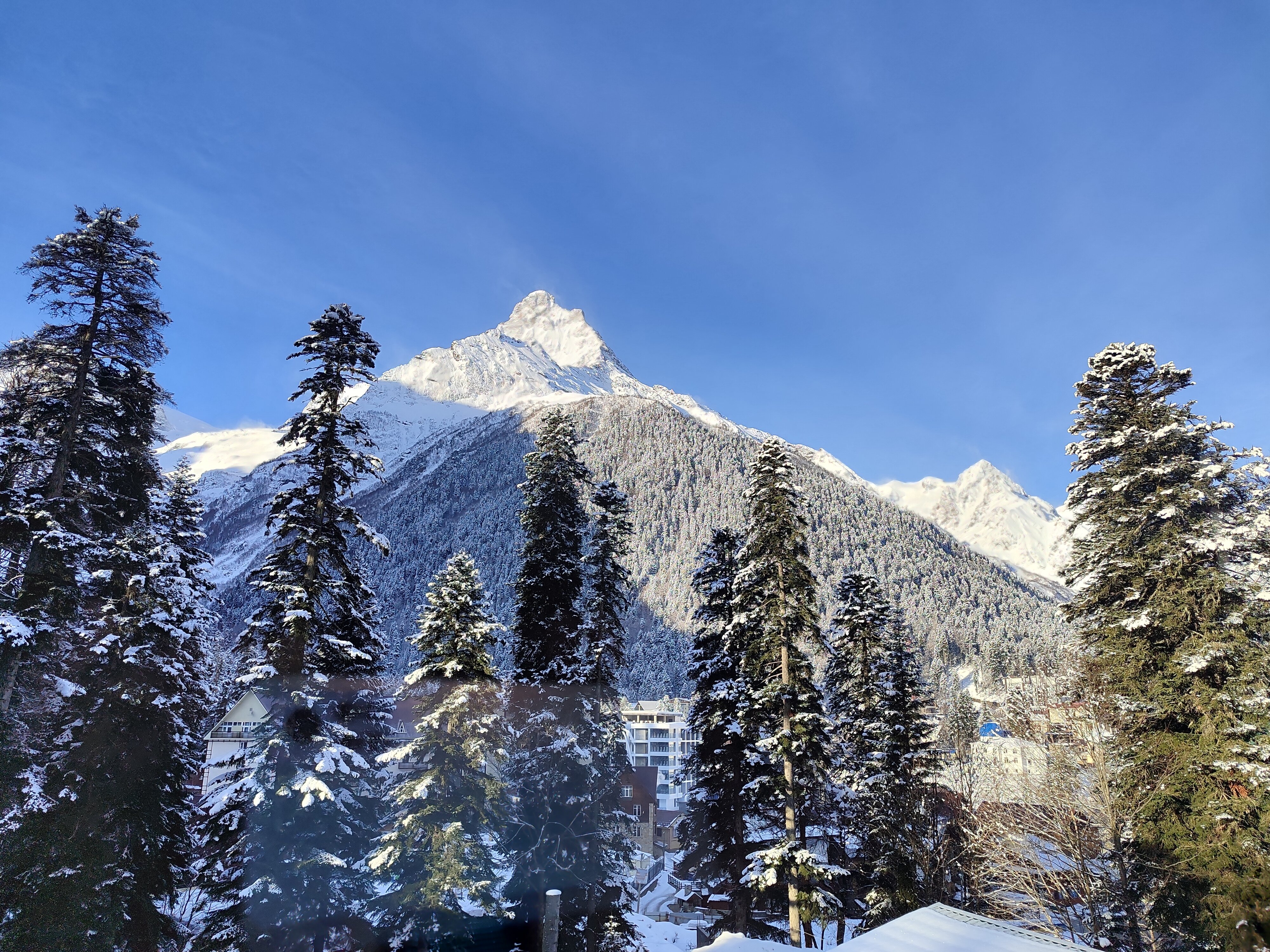 Фото Белалакая