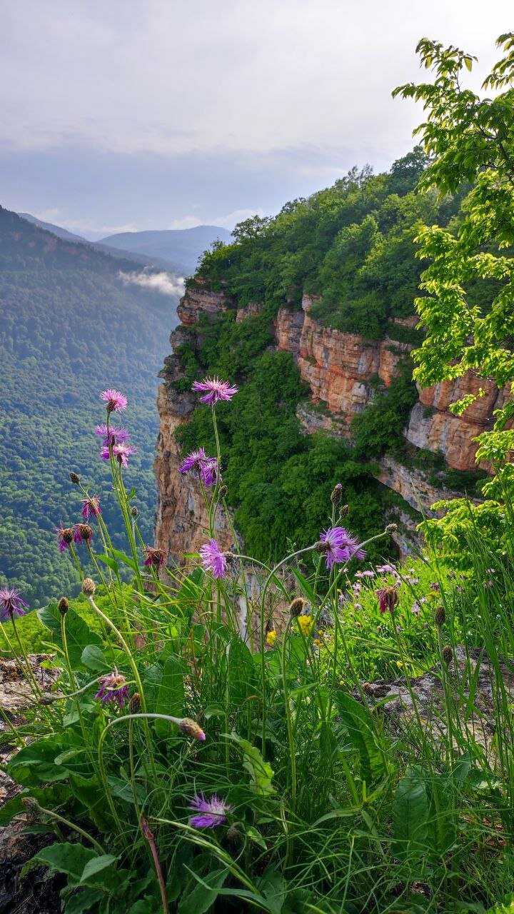 Фото Мезмай Мезон