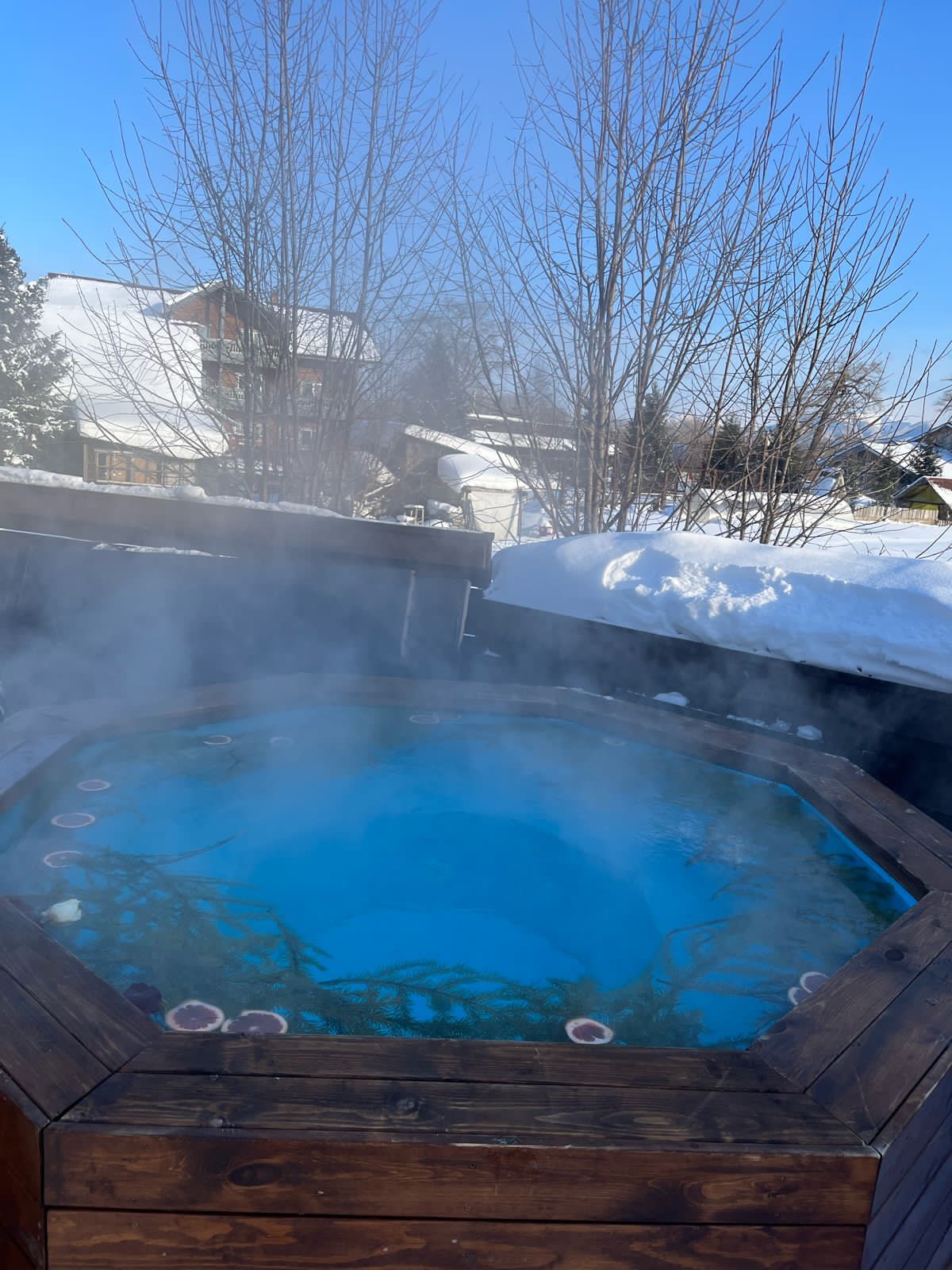 Фото Снежные Гуси