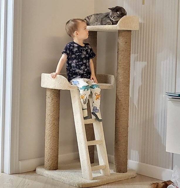 Pet products wholesale Cat's Paradise, pet store, Almaty, photo