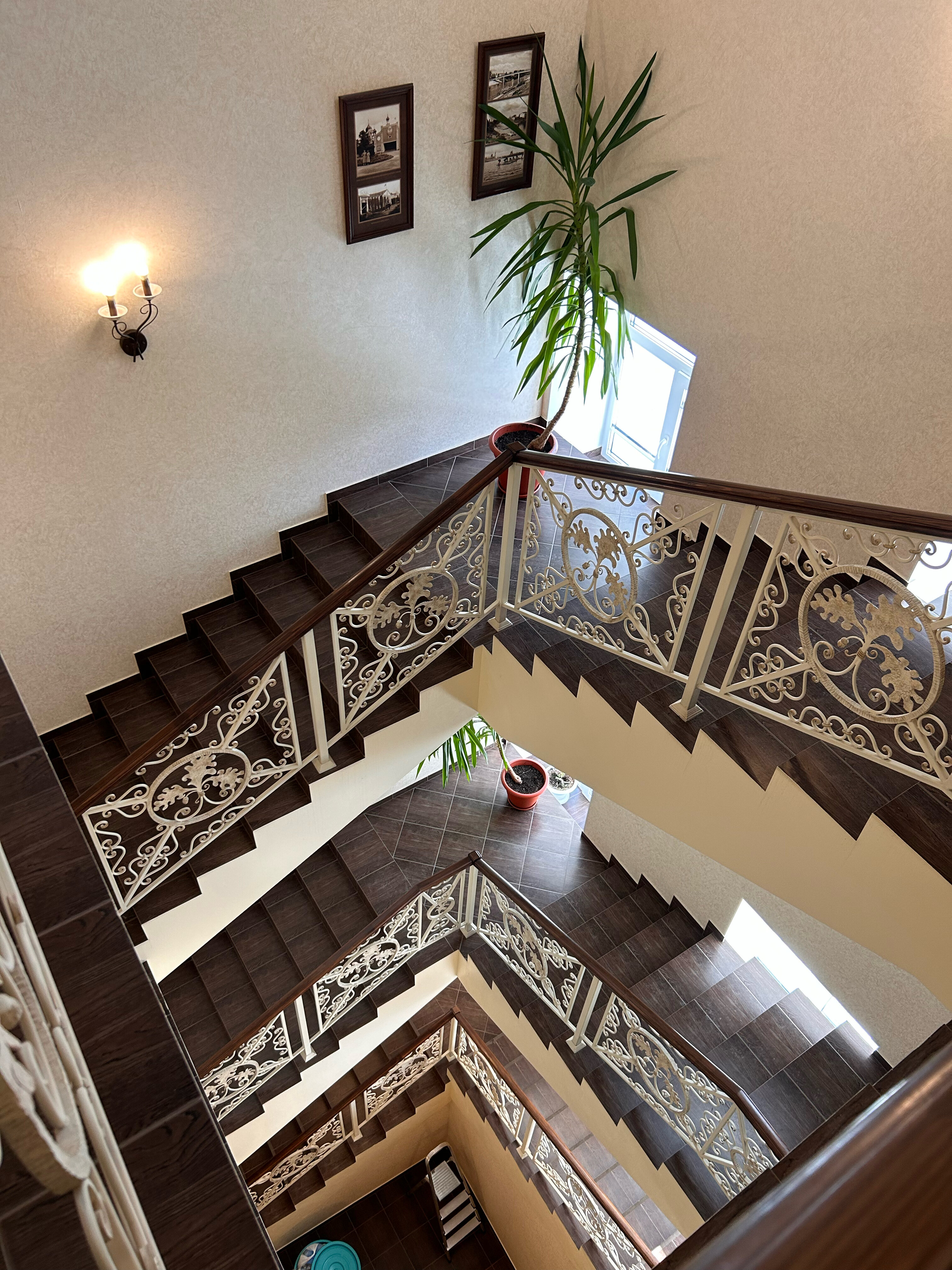 Фото Светлица