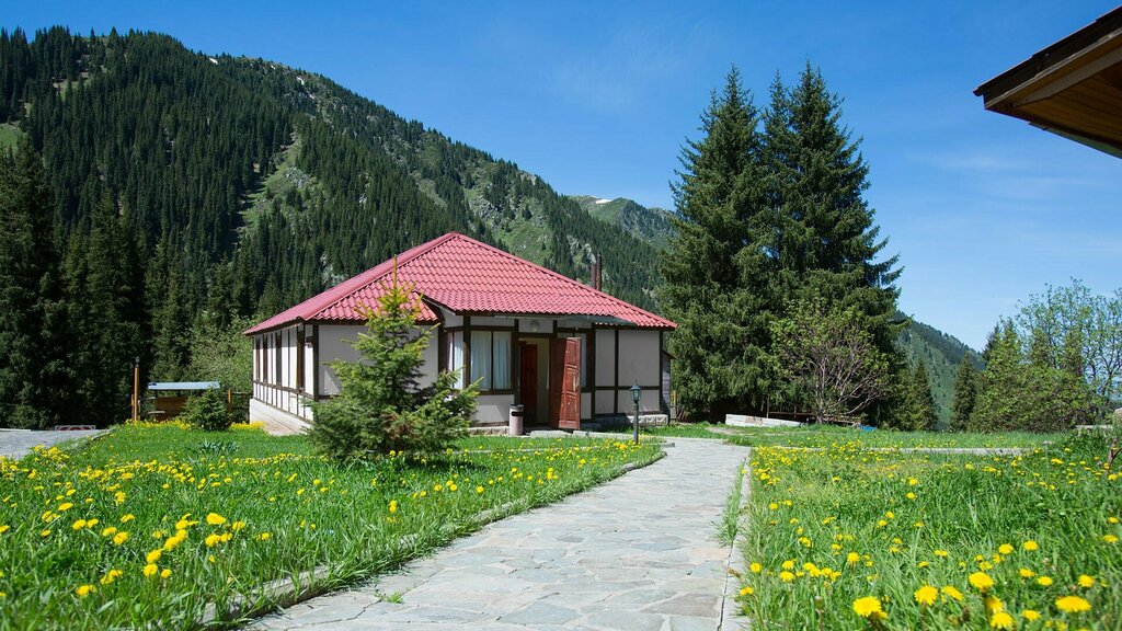 Гостиница Альпийская Роза, Алматы, фото