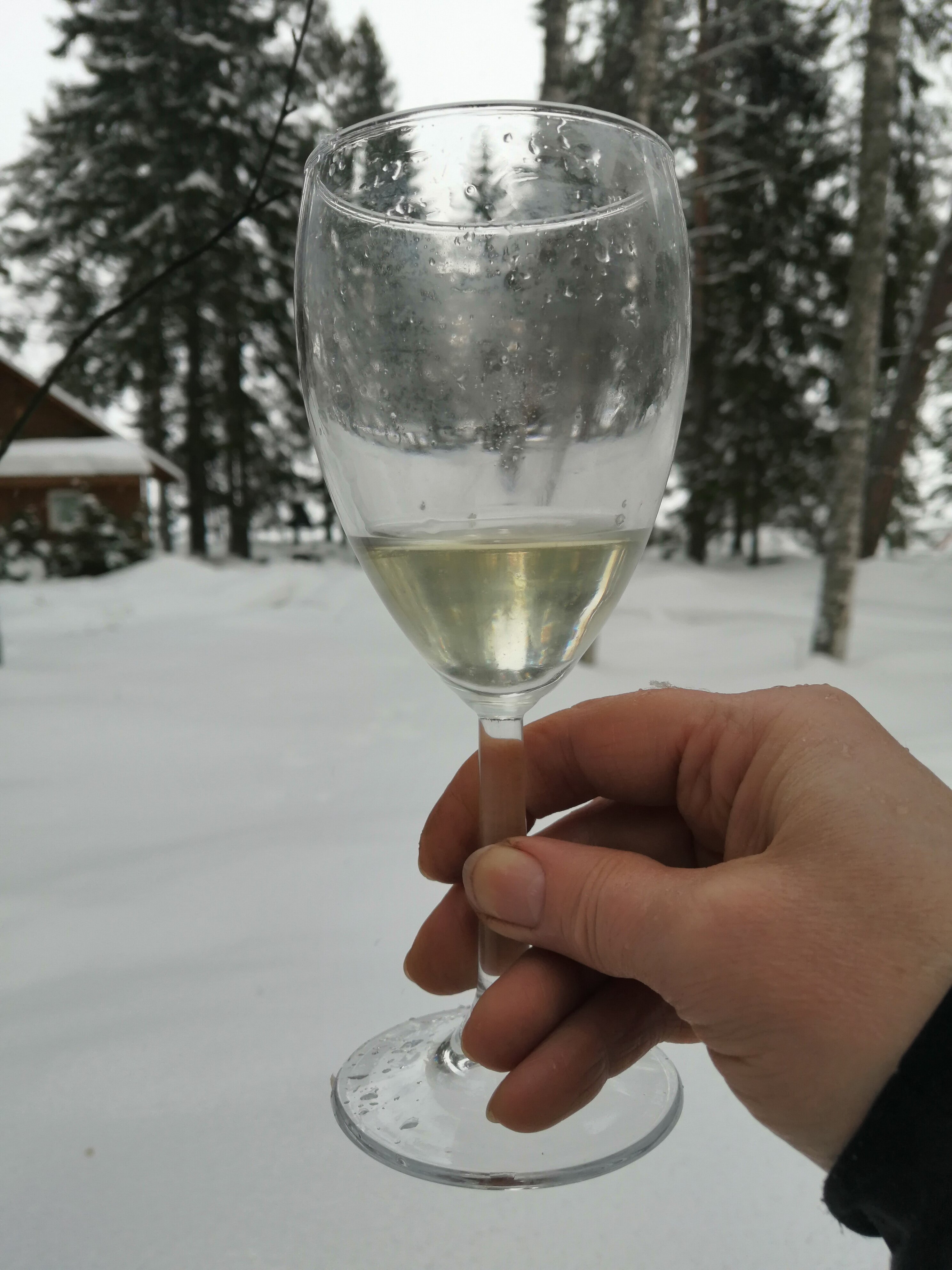 Фото Серебро Онеги