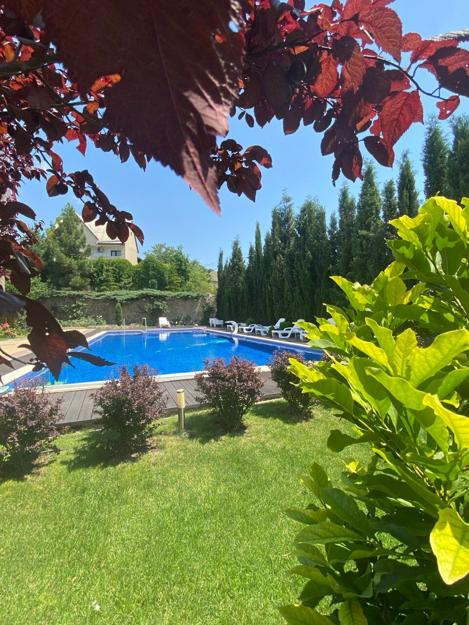 Фото Sineva Del Sol