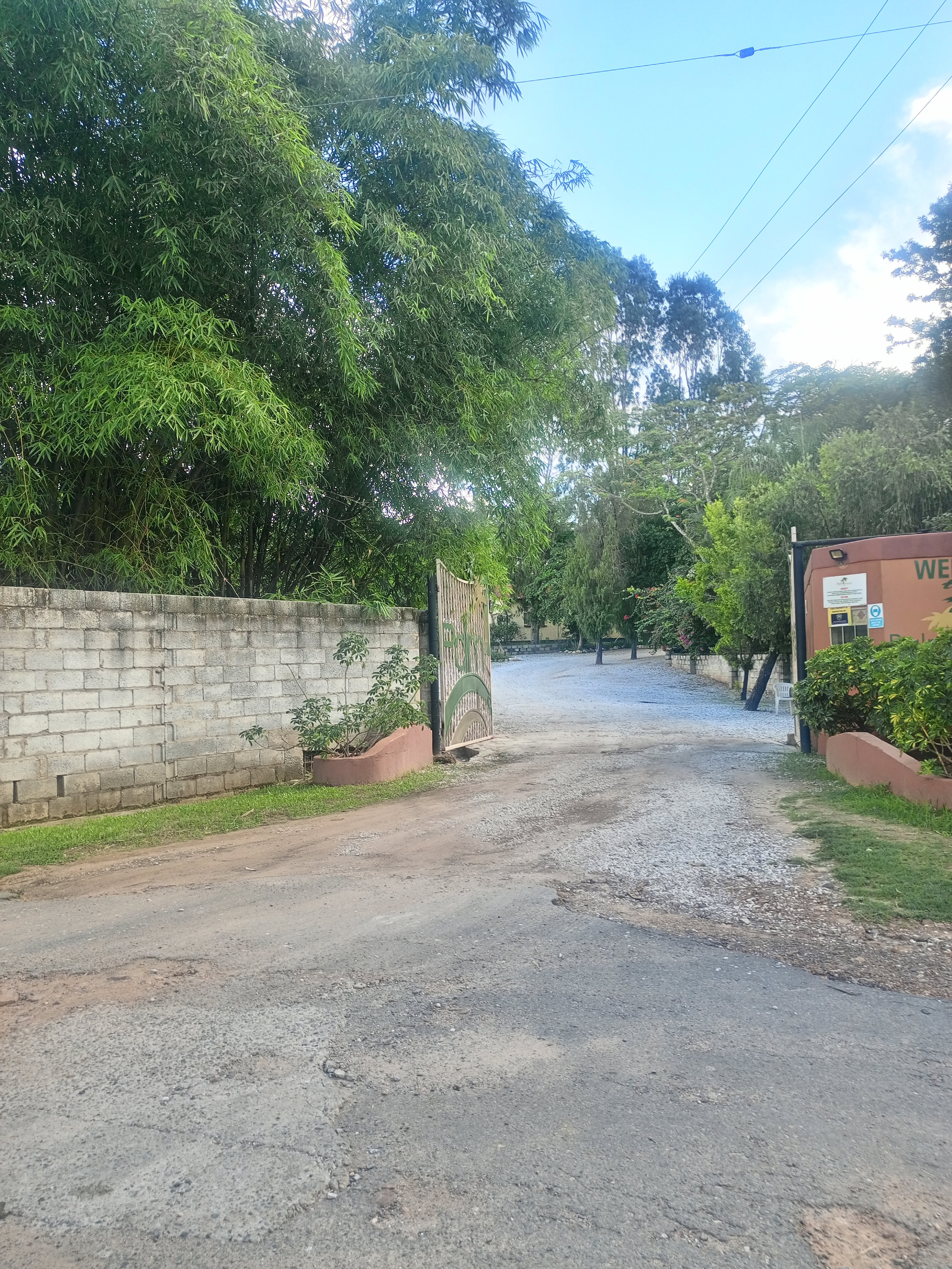 Фото Palmwood Lodge