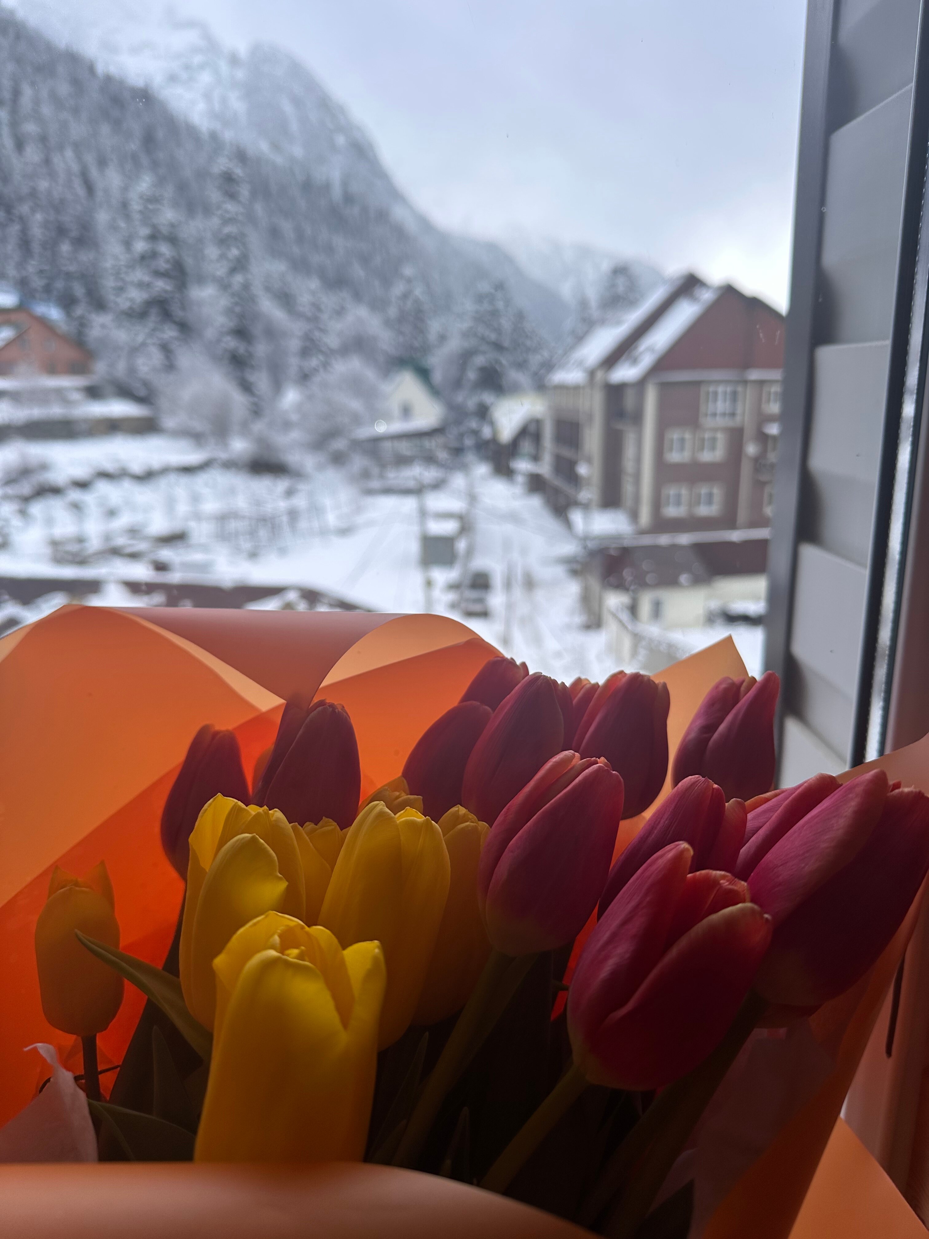 Фото Алатау Люкс