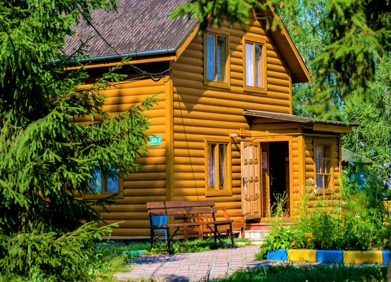 Берёзовая роща — фото 1
