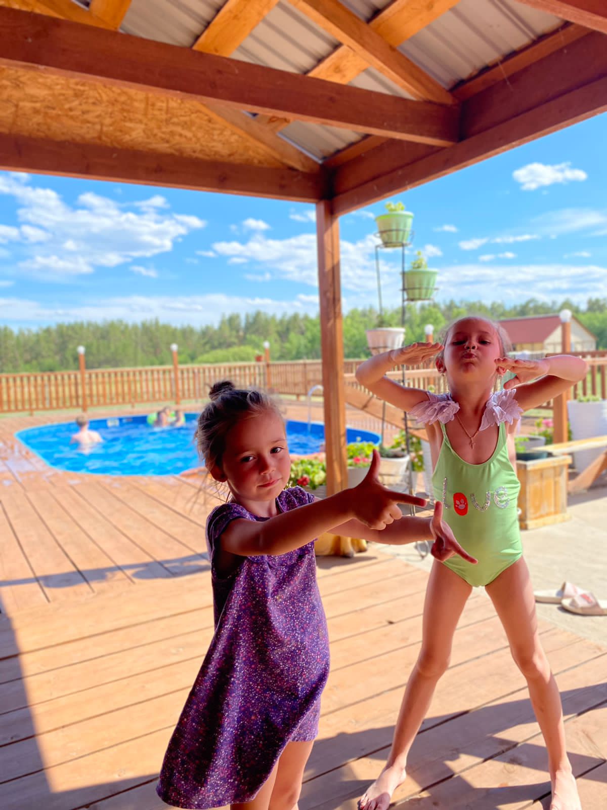 Фото Фламинго