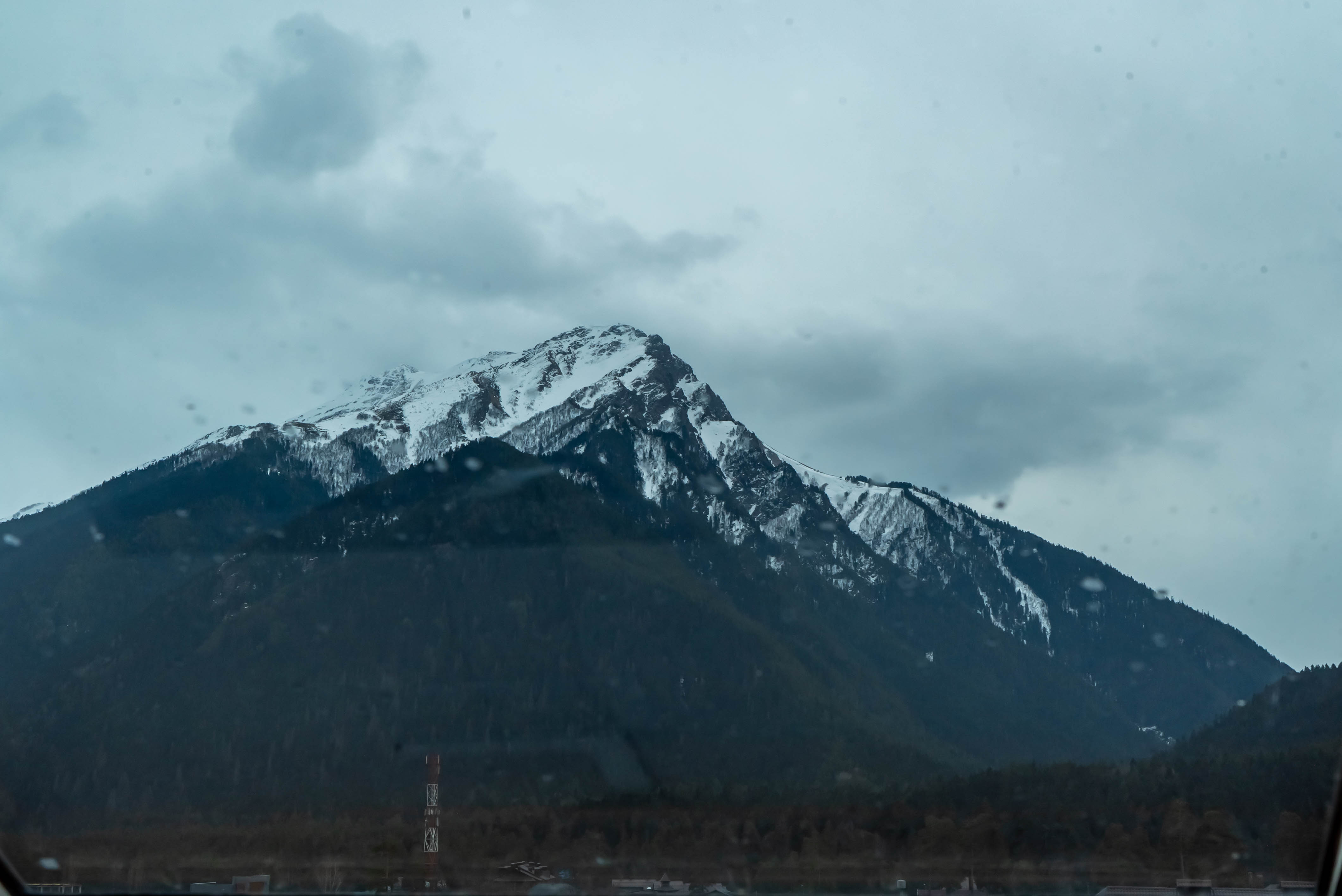 Фото Бархат