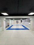 Children's Martial Arts Sports School Kudo Kids (Shokalskogo Drive, 51А), sports school