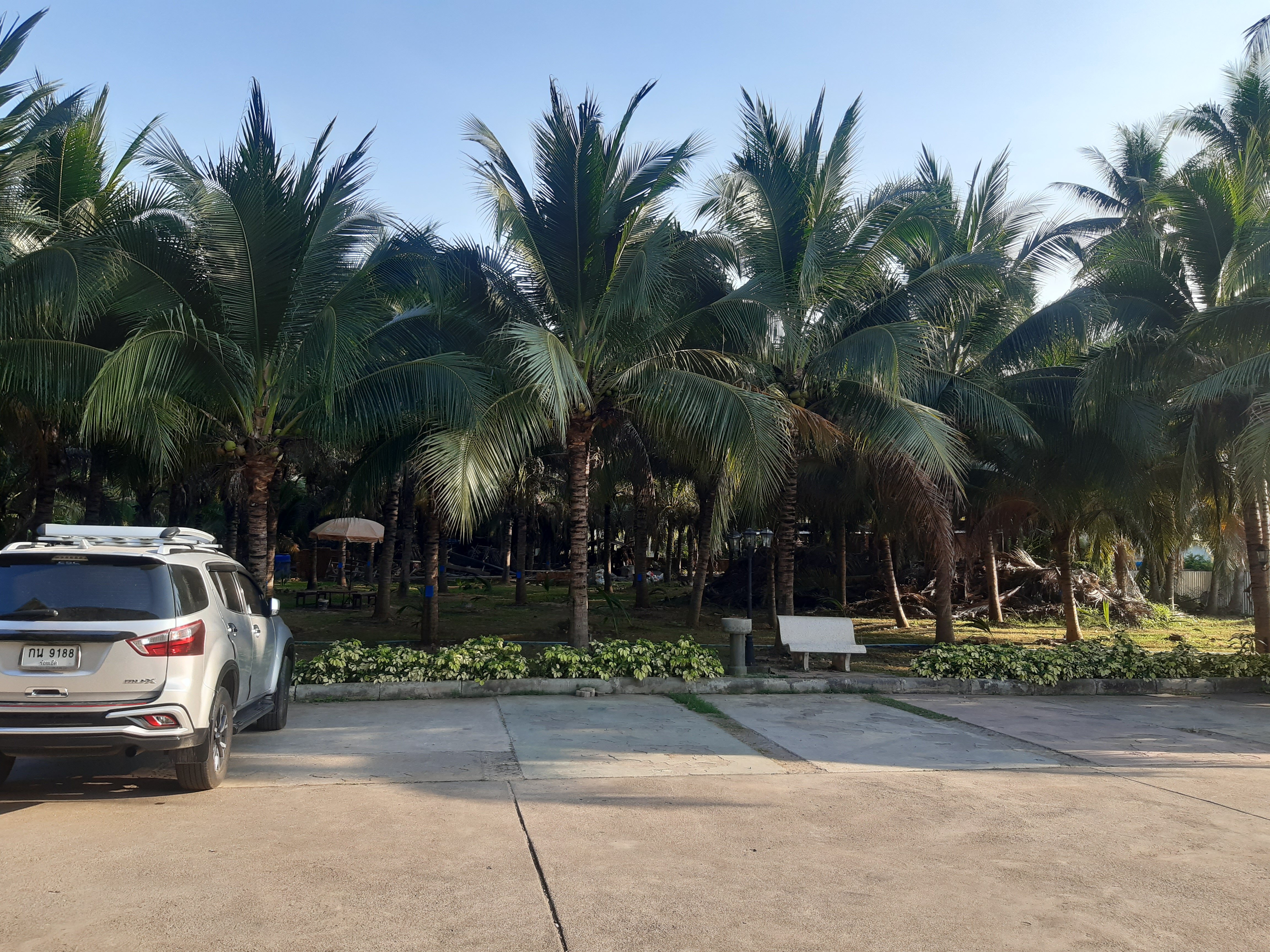 Фото The Coconut Hotel