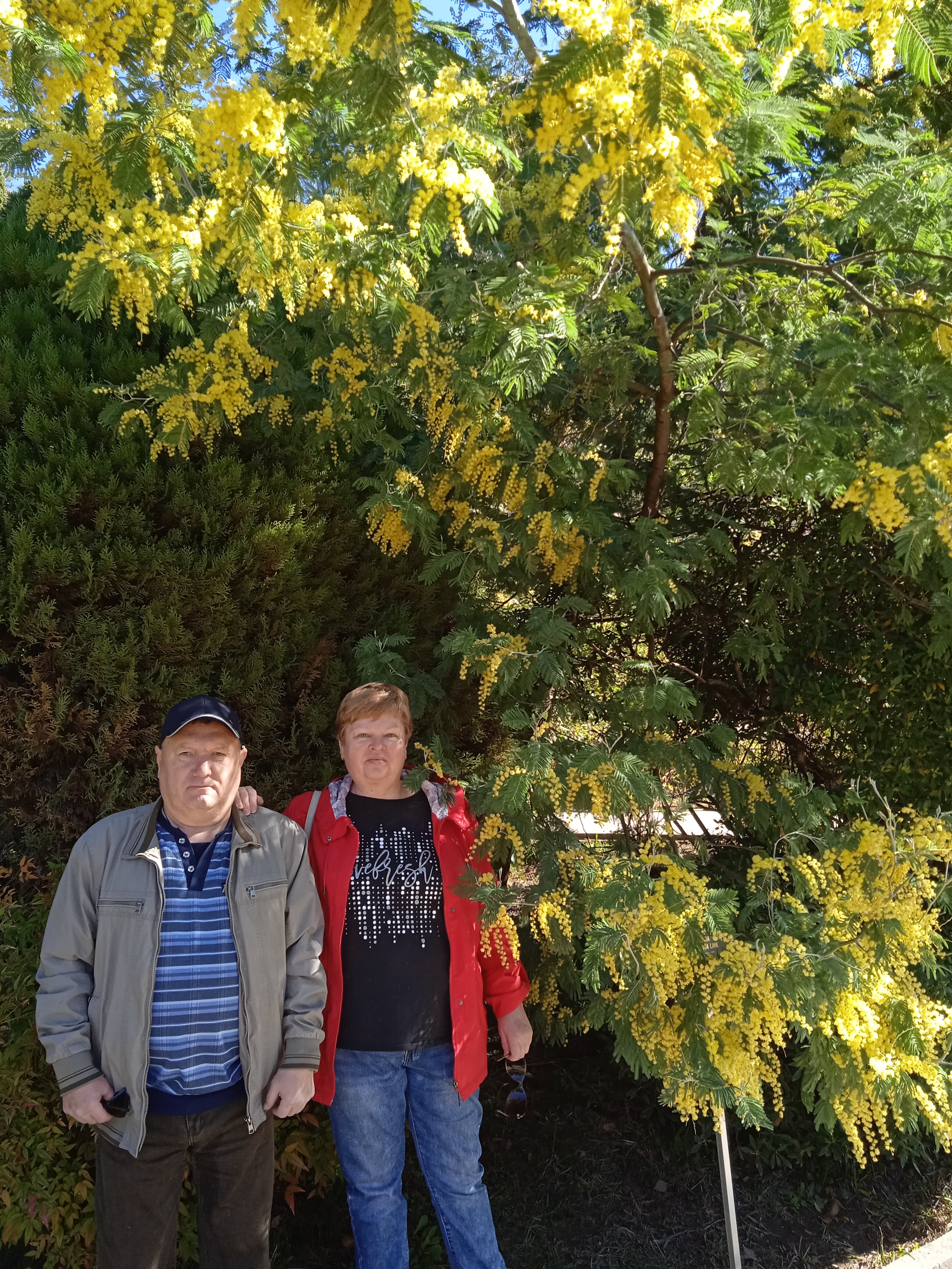 Фото Аэлита