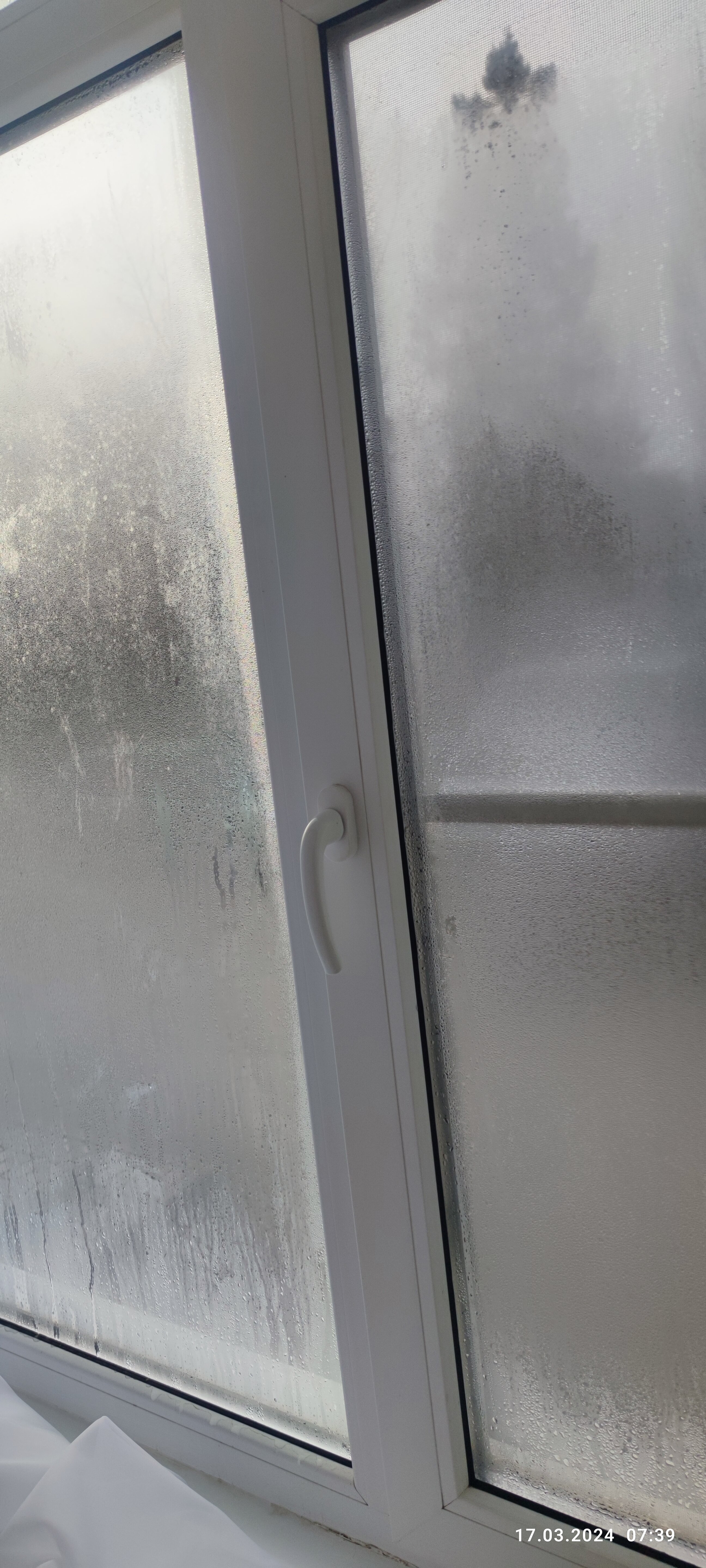 Фото Спринтер