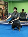 Happy moment & dog (Dnepropetrovskaya Street, 14А), zoocenter, club de amantes de los animales