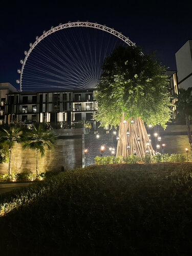 Гостиница Banyan Tree Dubai в Дубае