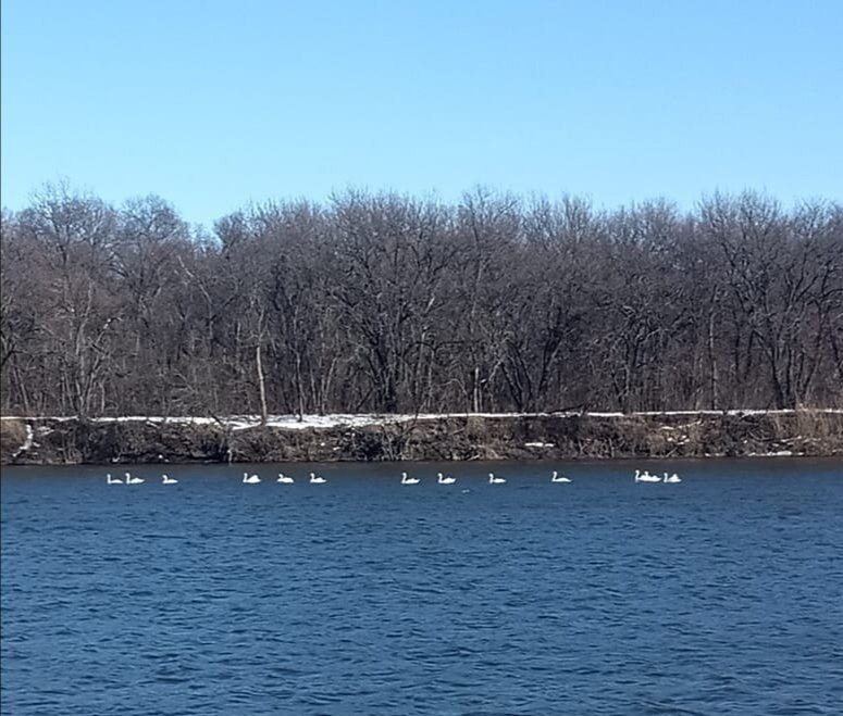 Фото Автомобилист