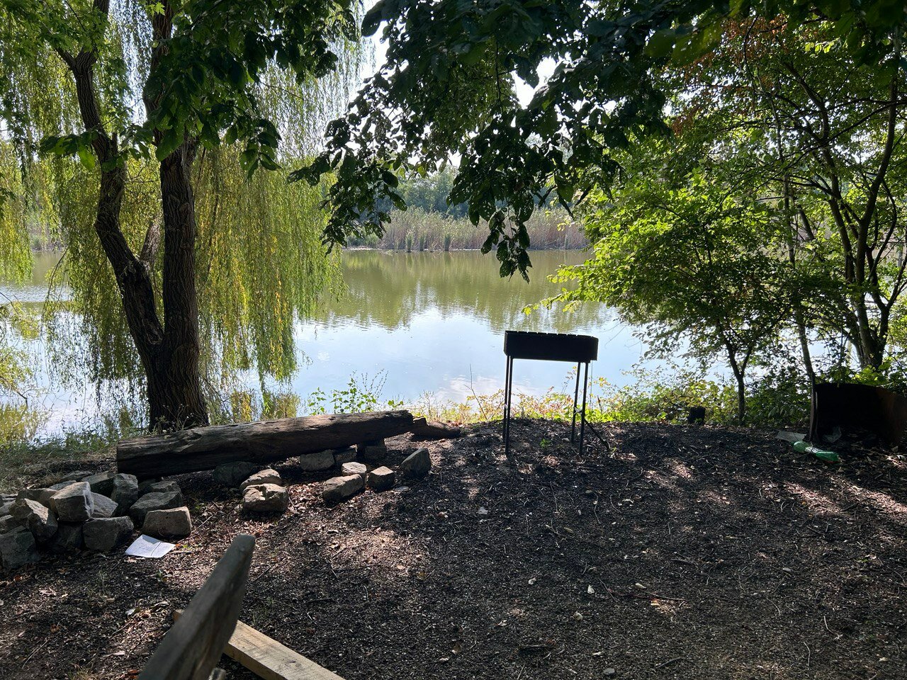 Фото Гнездо