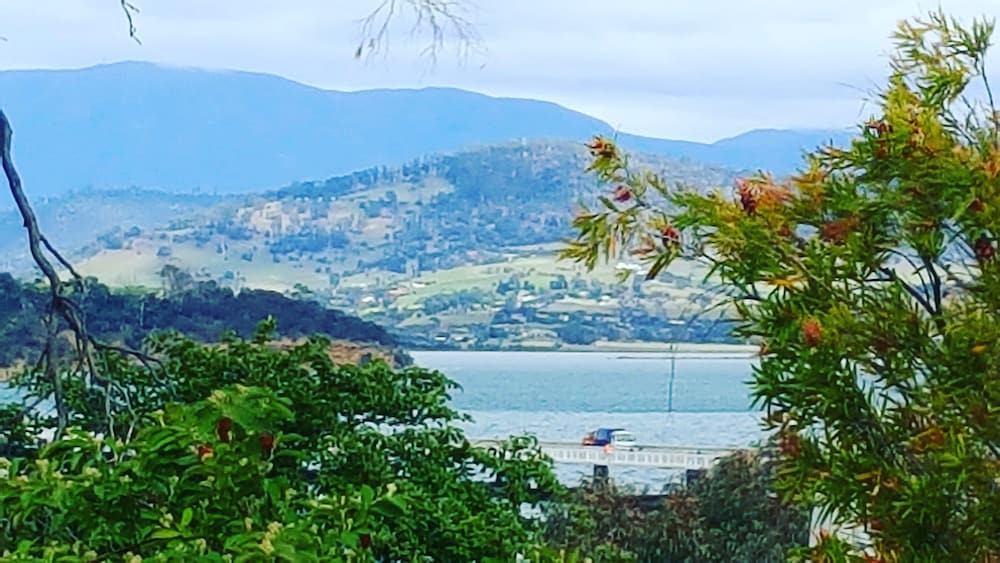 Фото Applebay Guest House