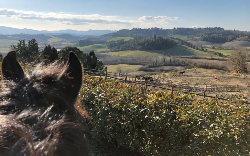 Фото Tenuta i Mandorli