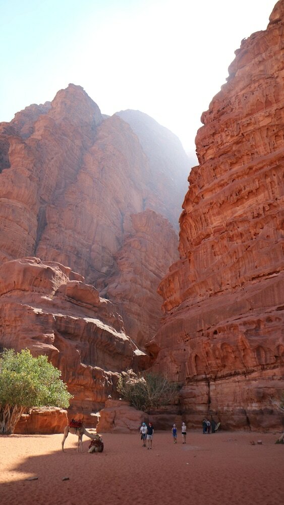 Фото Desert Bird Camp