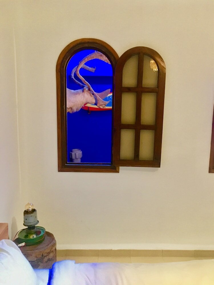 Фото Oceana Surf Camp - Hostel