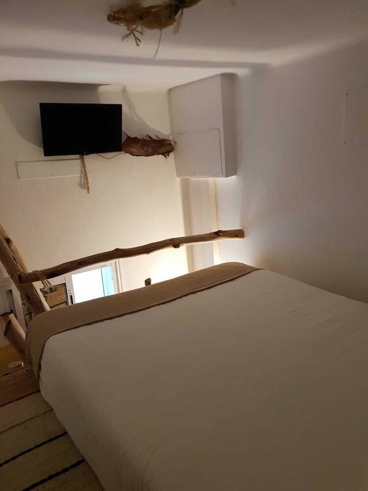 Фото Cactus Host