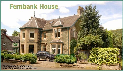Гостиница Fernbank House в Аберфелди