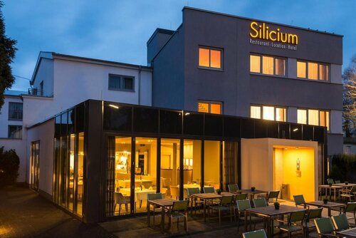Гостиница Hotel Silicium