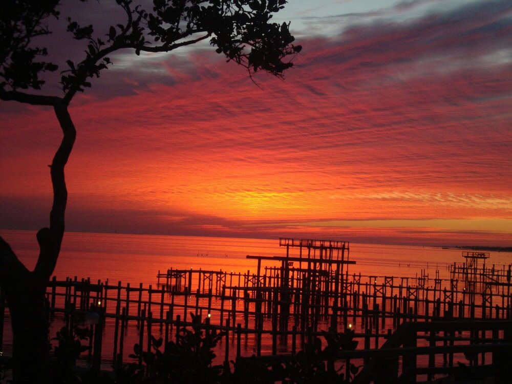 Фото Come Friday Cottages on the Bay