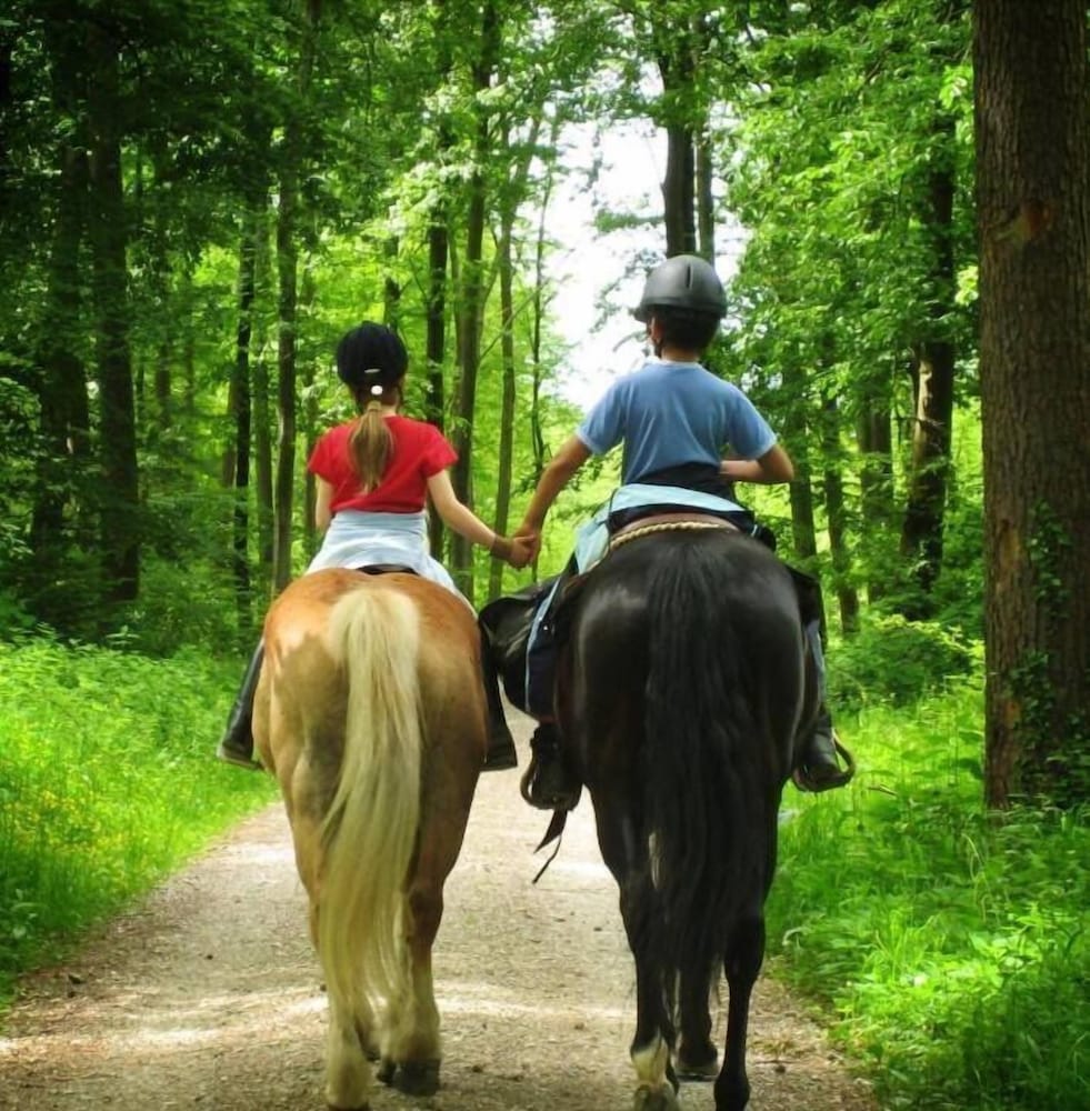Фото Покровское Дивное