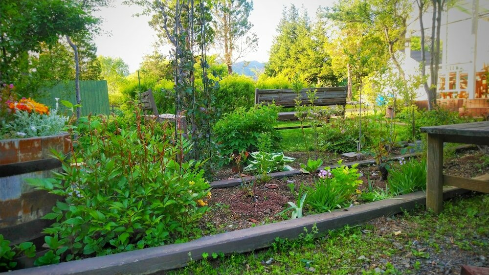 Фото Pension Cottontail