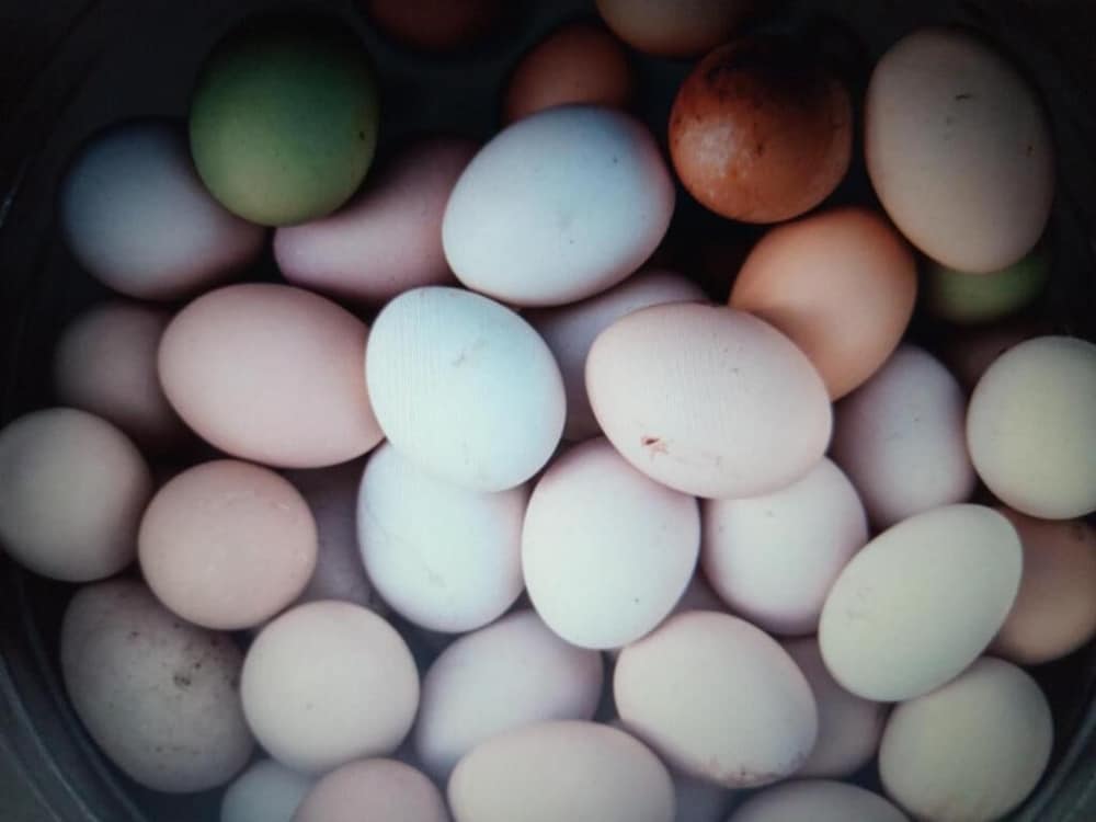 Фото St. Catherine Monastery