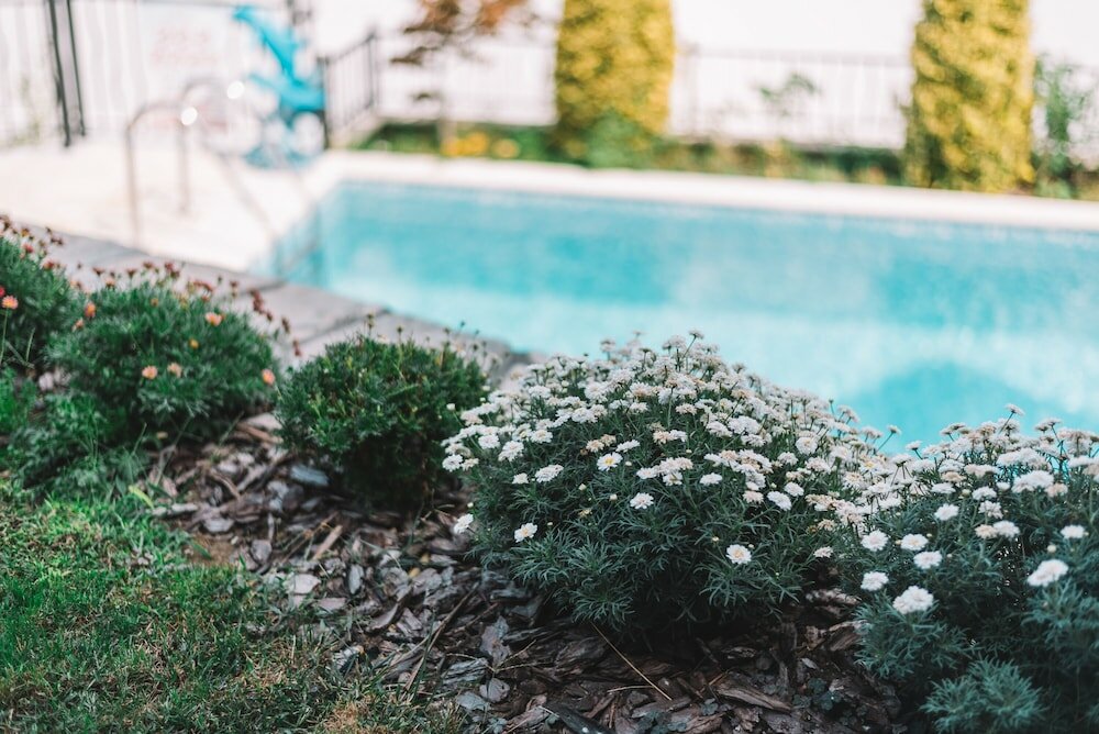 Фото Apartments Bazar