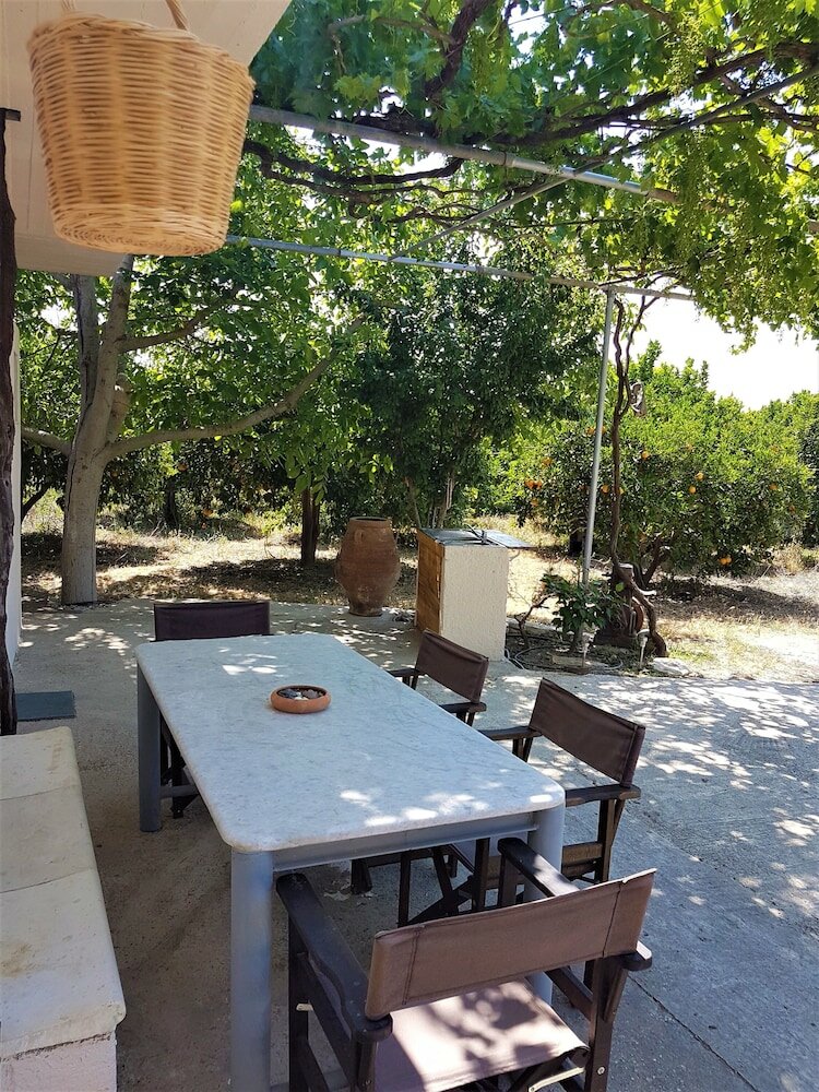 Фото Farm House in Bio Orange Plantation