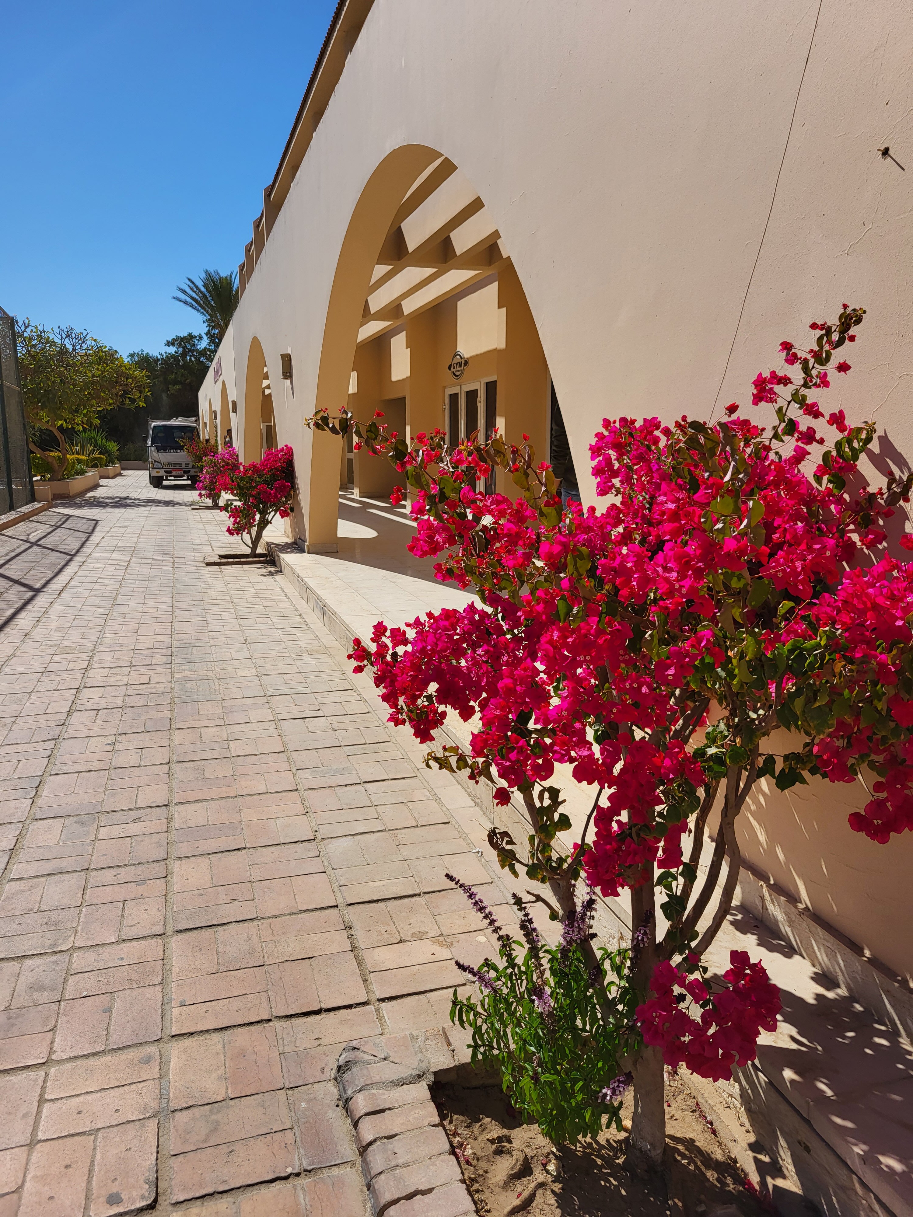 Фото 89227095207