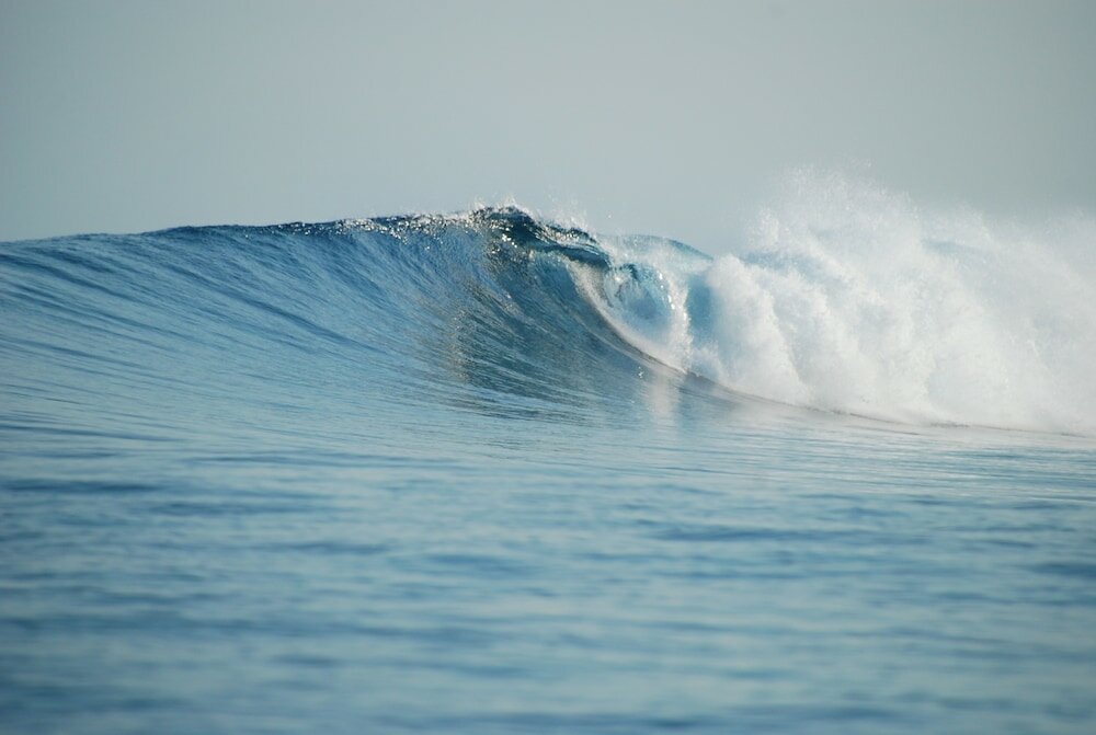 Фото Season Paradise