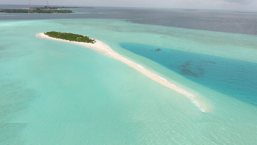 Фото Palm Residence