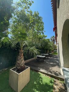 Гостиница Hotel Ulysse Montpellier Centre Corum