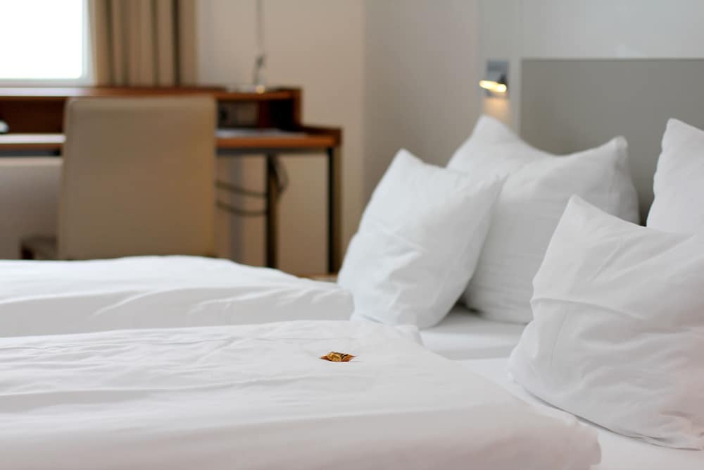 Фото Qube Hotel Bergheim