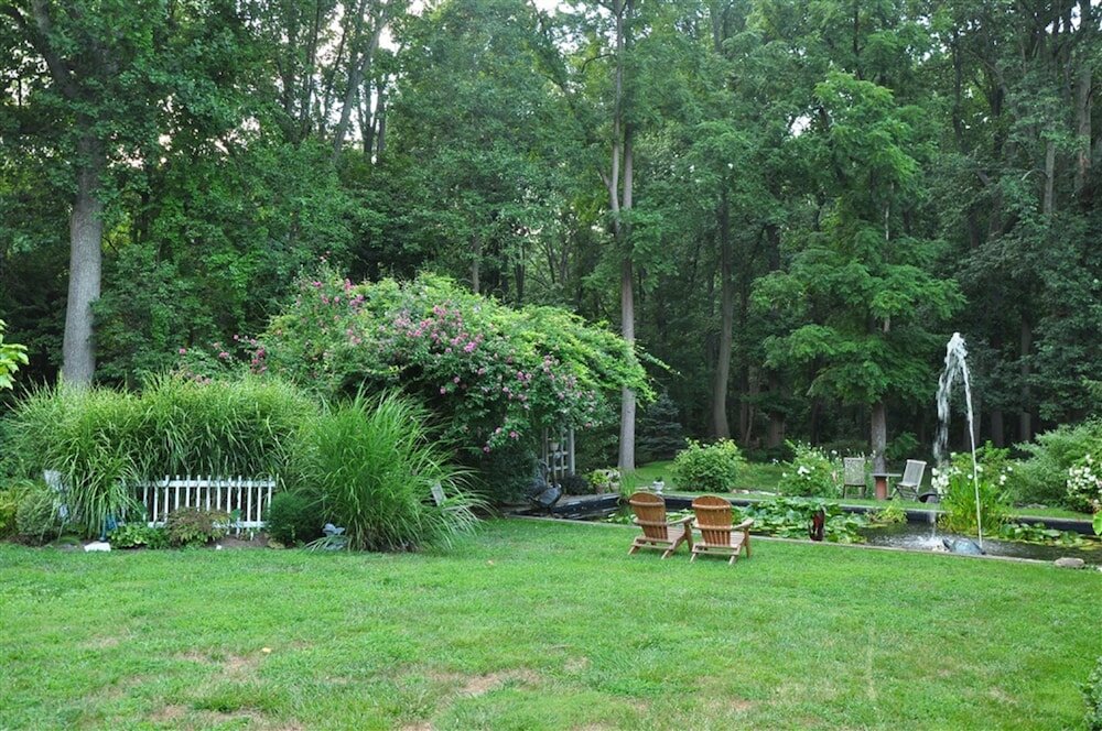 Фото Wild Wisteria