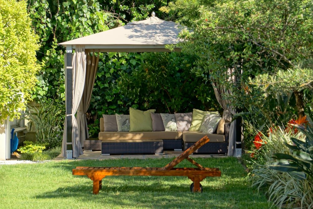 Фото Wild Olive Guest House