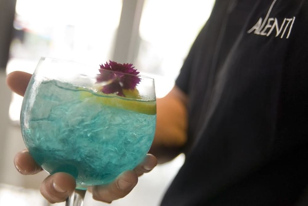 Фото Alenti Sitges Hotel