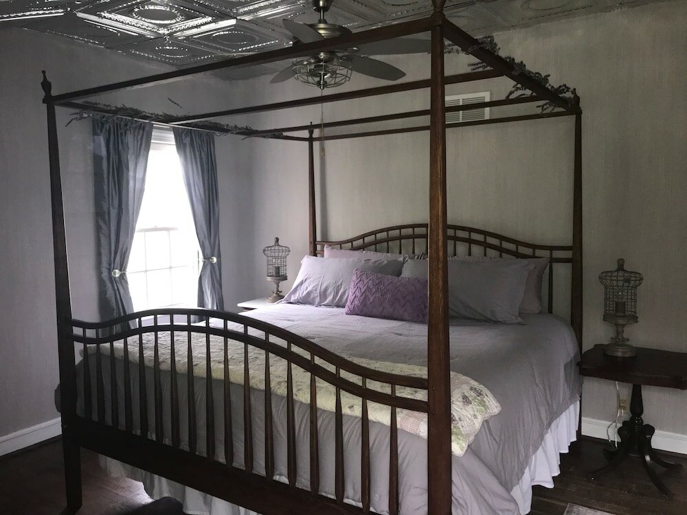 Фото Wild Wisteria