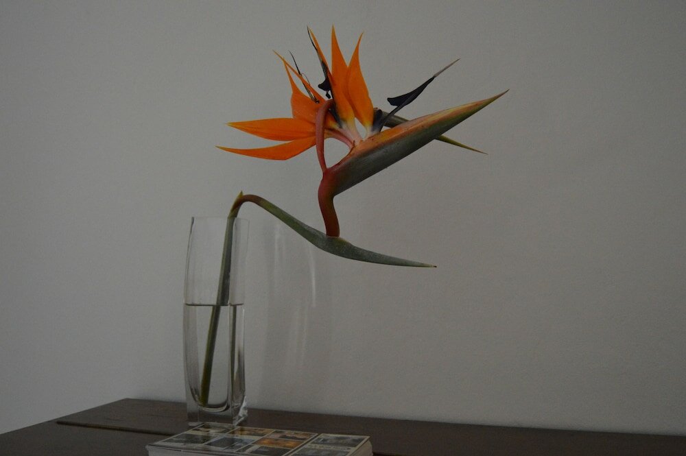 Фото Lu's Guest House